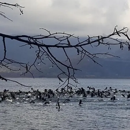 Your In * Kastoria